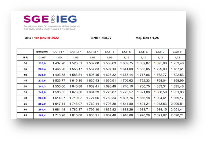 Grille salaires IEG